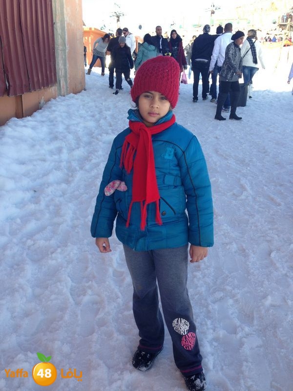 jabalelskheikhlud (26).JPG